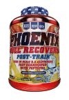 Post-entrenamiento PHOENIX Big 1,1 kg