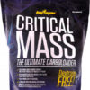 bigman critical mass 10 lbs