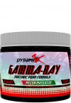 Gamma ray dynamik muscle 240 g