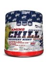 Recuperador Nocturno AMINO CHILL BIG 300 GR