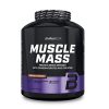 muscle mass