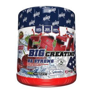 creatina creabig big 500 gr