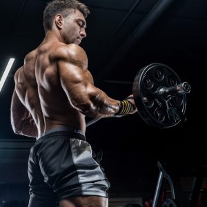 El volumen muscular
