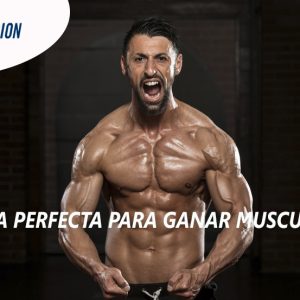 La dieta perfecta para ganar musculo