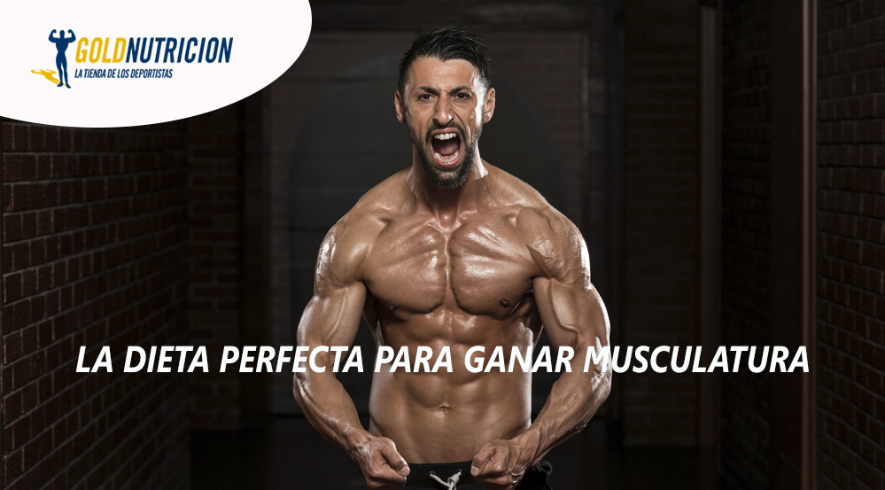 La dieta perfecta para ganar musculo