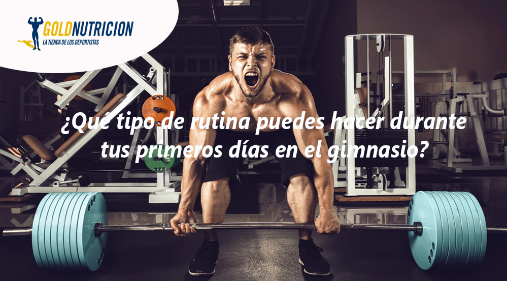 Rutinas en el gimnasio | ¿Qué tipo de rutina puedes hacer durante tus primeros días en el gimnasio?