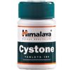 Cystone herbal image